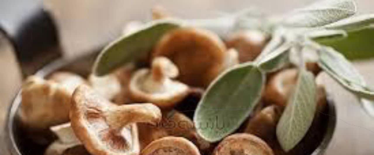 قارچ منبع طبیعی آهن 