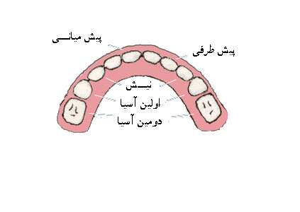 دندان درآوردن