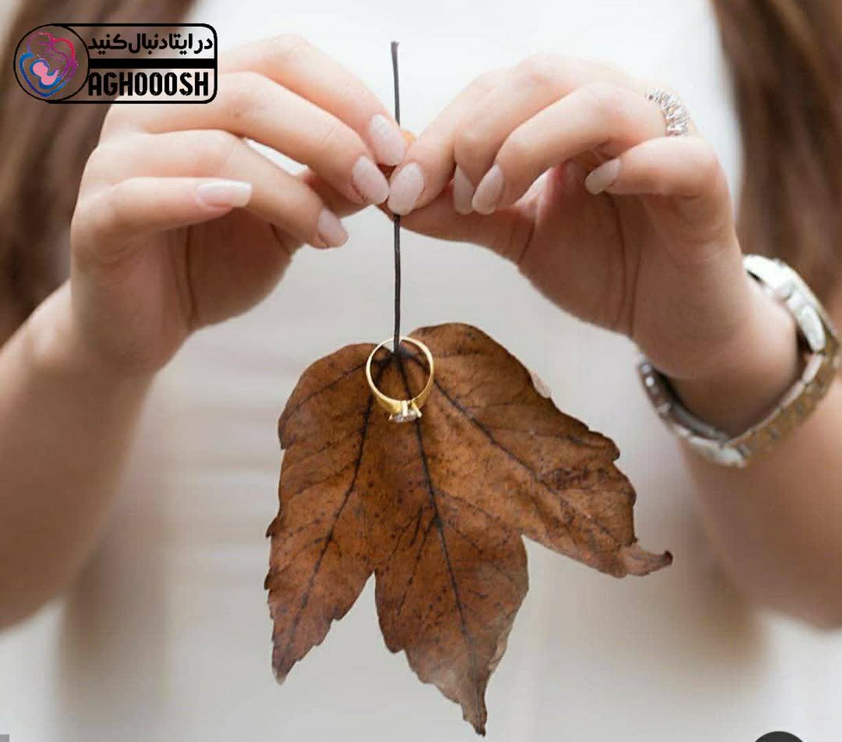 زندگى معنوى و الهى