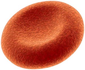 کمخونی فقر آهن