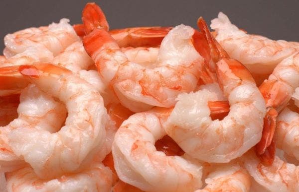 ارزش غذایی و خواص میگو برای بدن