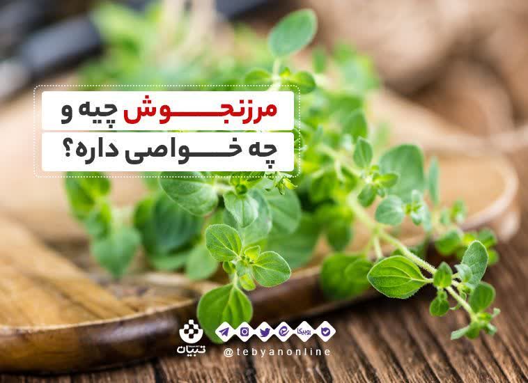 مرزنجوش چیه و چه خواصی داره؟