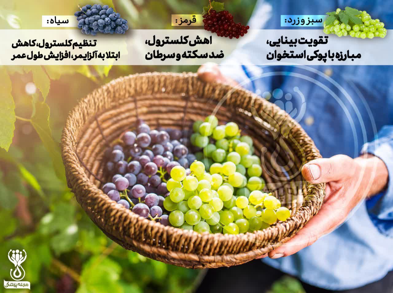 هر رنگ انگور چه فوایدی دارد 