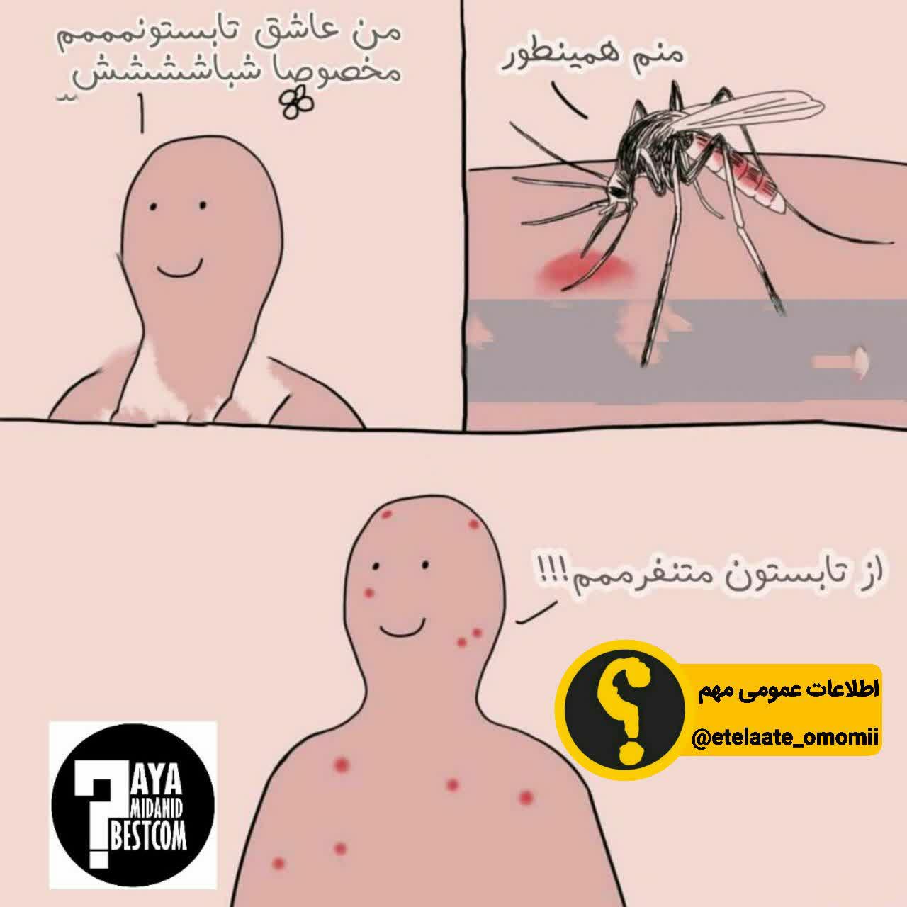 نیش زدن زیاد پشه ها