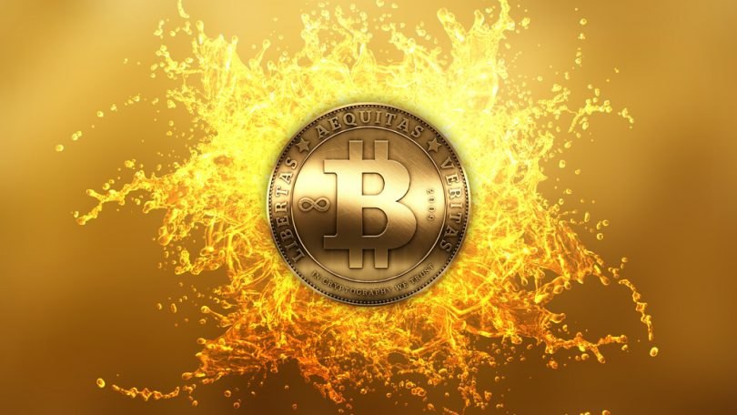 اولین محاکمه فرار مالیاتی با بیت‌کوین