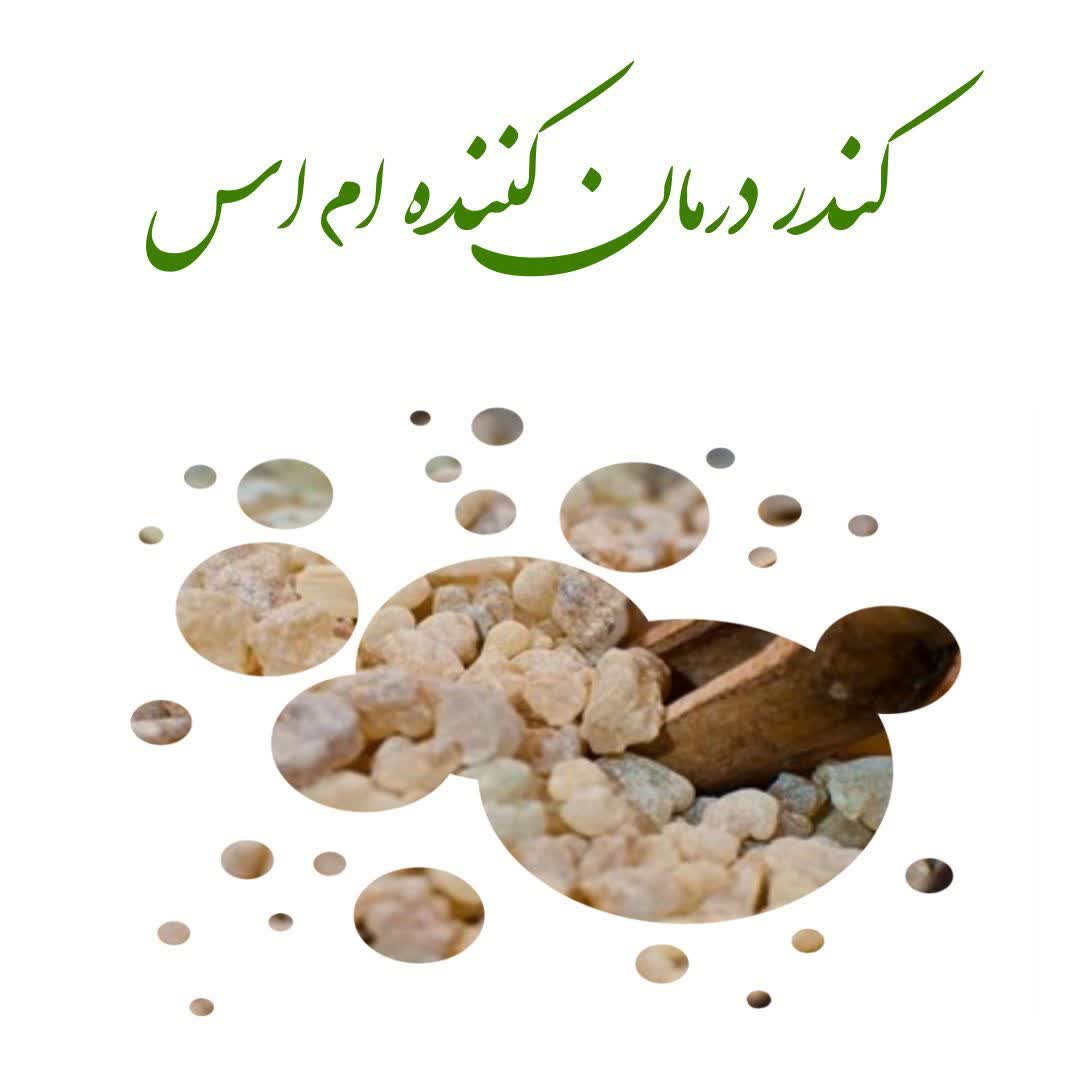 بیماری MS با کندر   قابل درمان است 