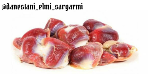 خواص سنگدان مرغ 
