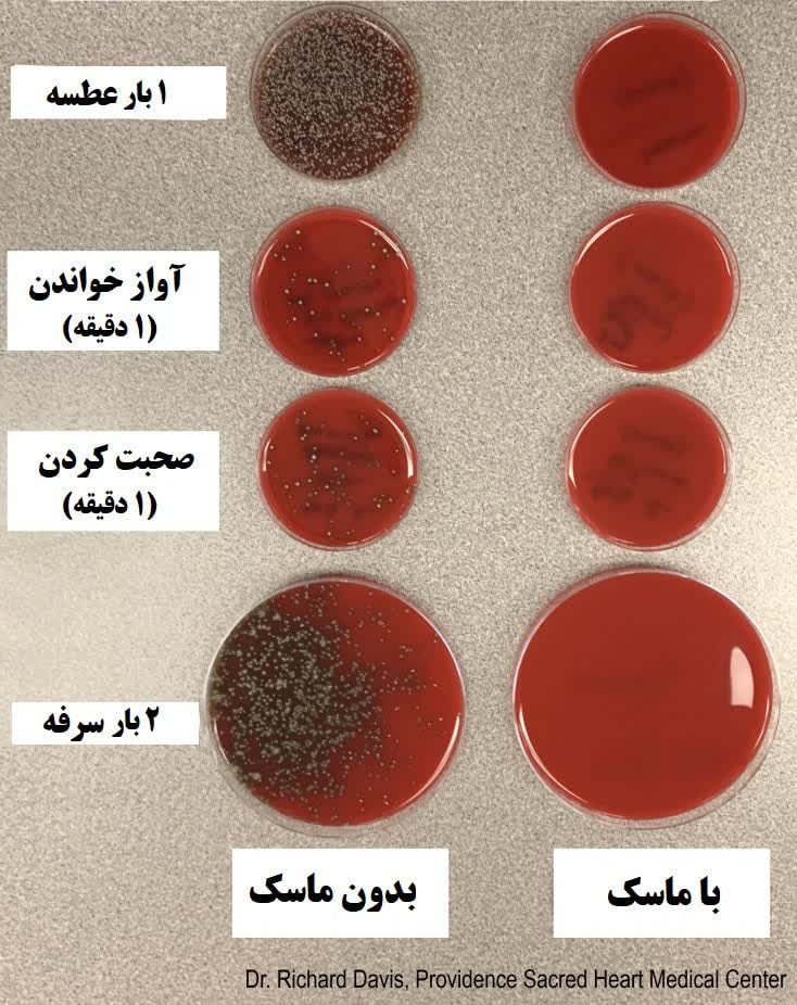 باکتری در زمان داشتن ماسک و نداشتنش