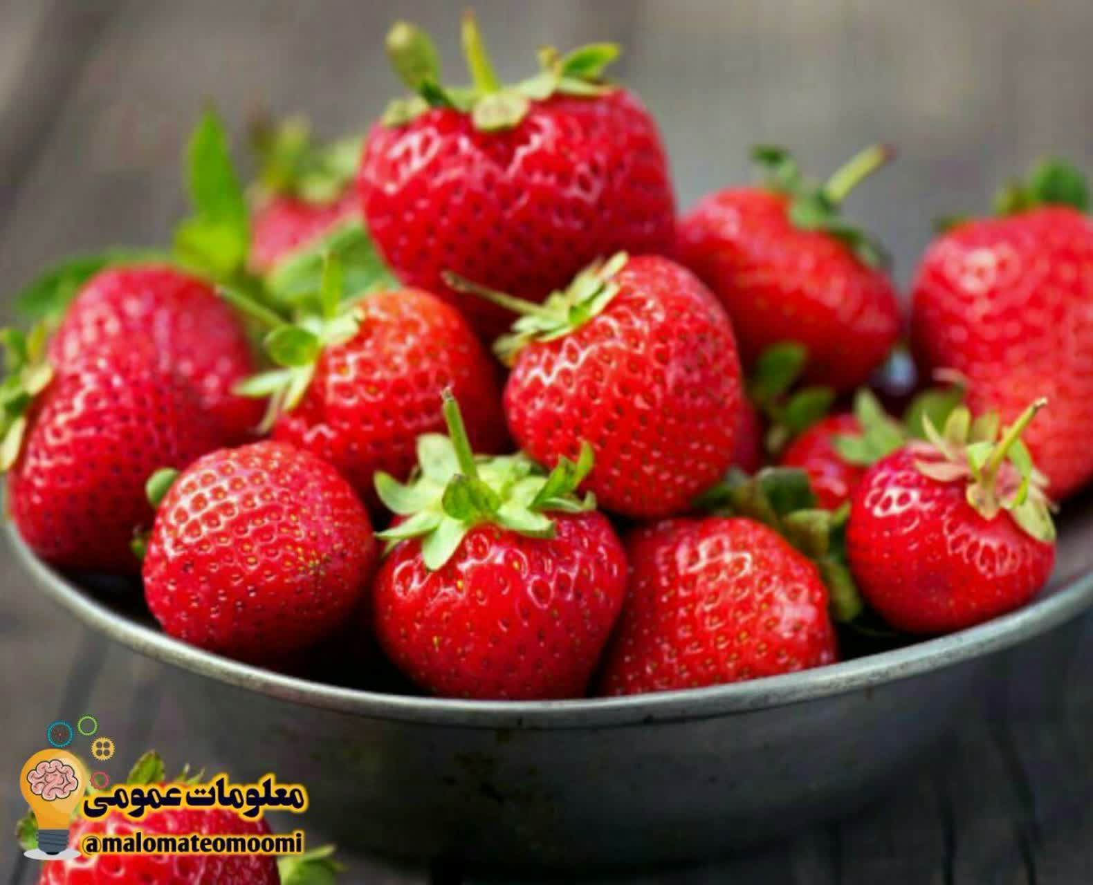 توت‌فرنگی‌ و بیماری‌های کلیوی