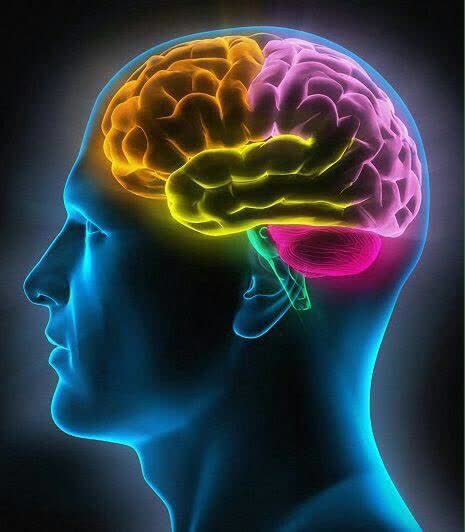  11 دشمن مغز 