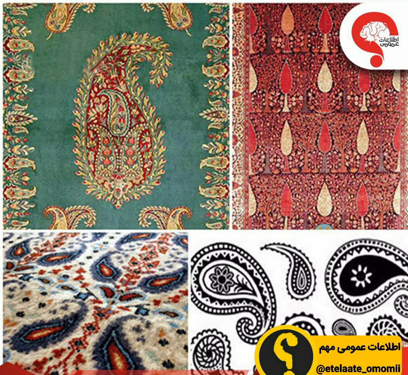 روش‌های جمع کردن مو از روی فرش