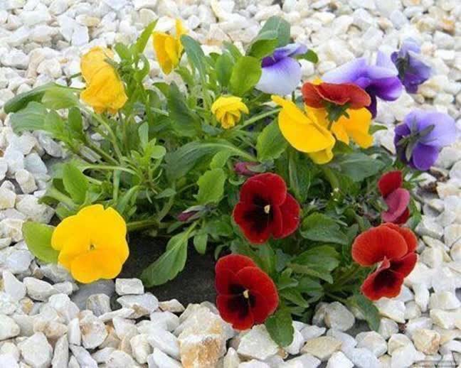 چرا احساس خوب اینقدر مهم است