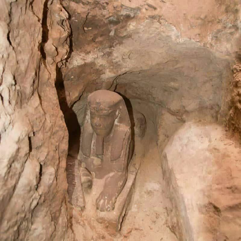 کشف مجسمه جدید ابوالهول 