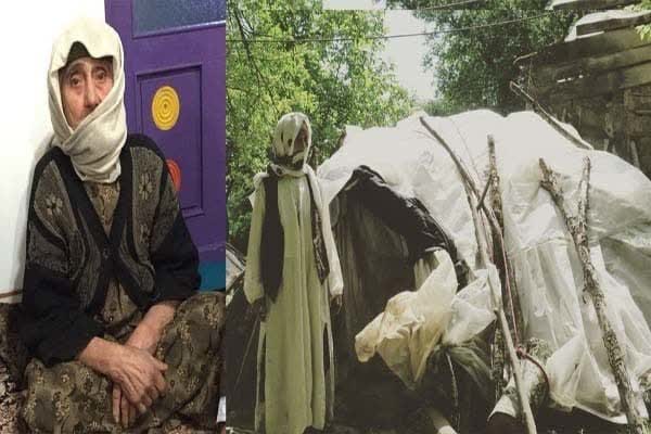 مادربزرگ اهل تالش