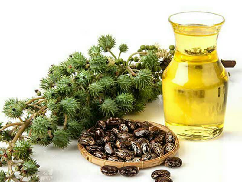 خواص کرچک برای مبارزه با روماتیسم