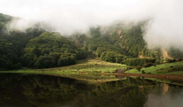 دریاچه بره سر؛ جایی برای پرندگان