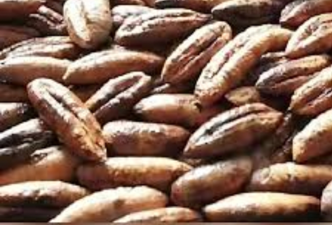 هسته ای عجیب که نمی دانستیدباید آنرا بخورید