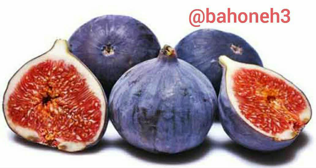 خواص انجیر سیاه   