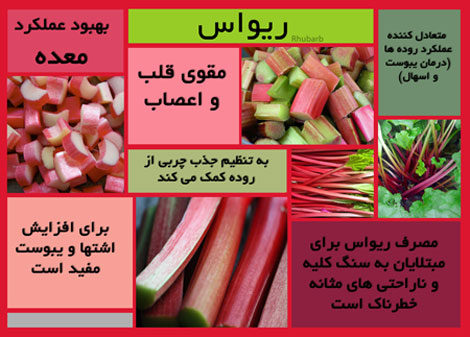 با خواص ریواس آشنا شوید