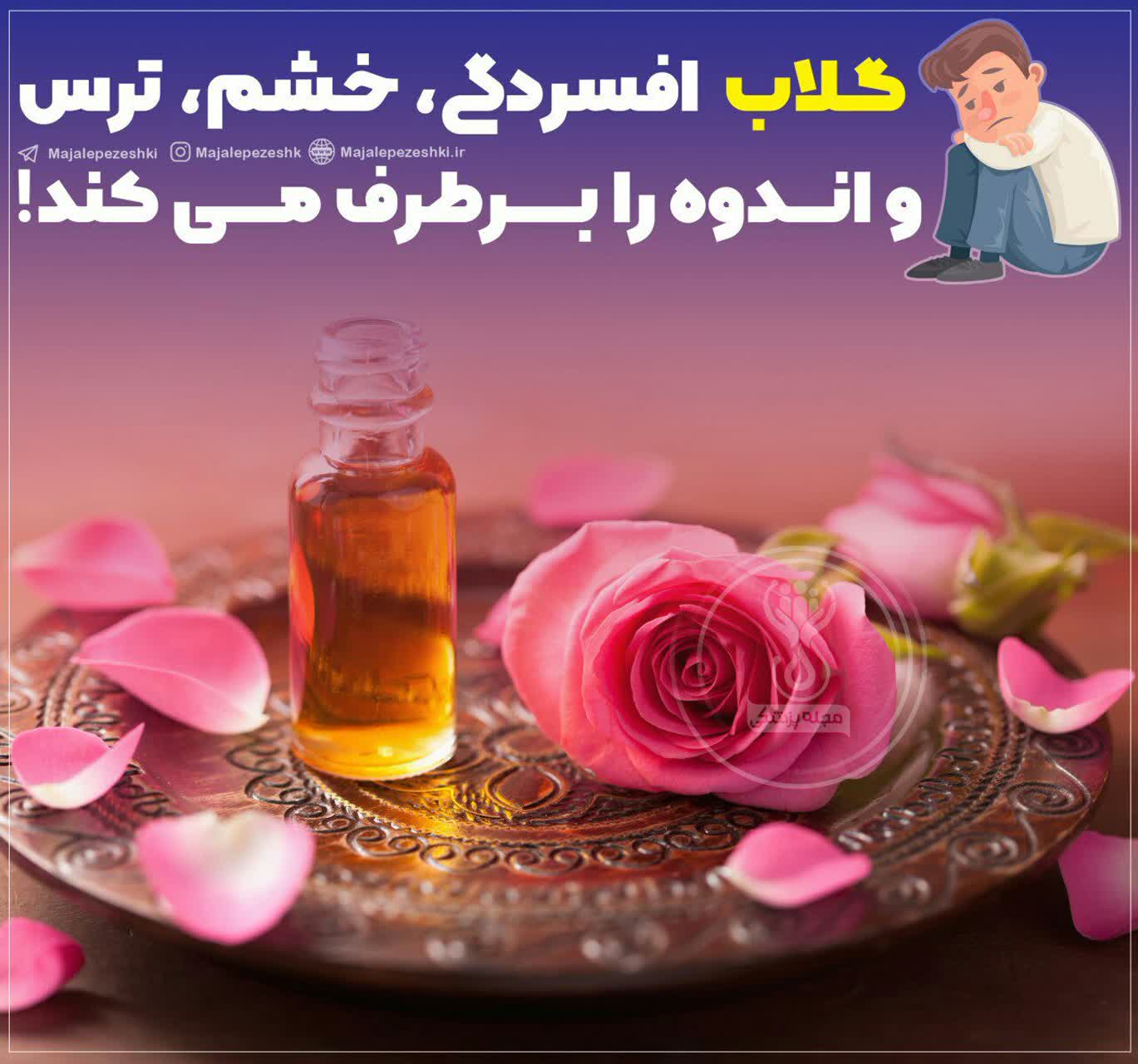 خواص بی‌نظیر گلاب را بشناسید 