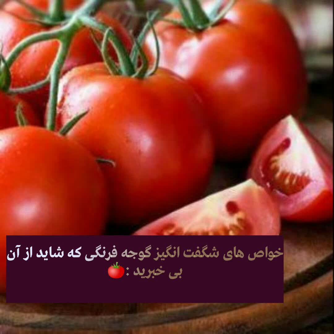 خواص های شگفت انگیز گوجه فرنگی
