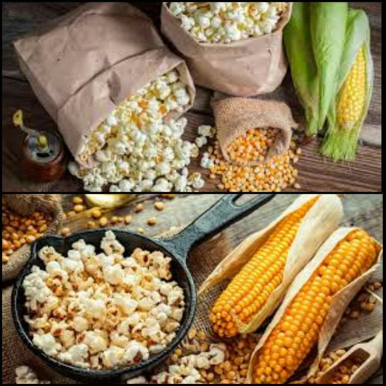 ذرت بوداده