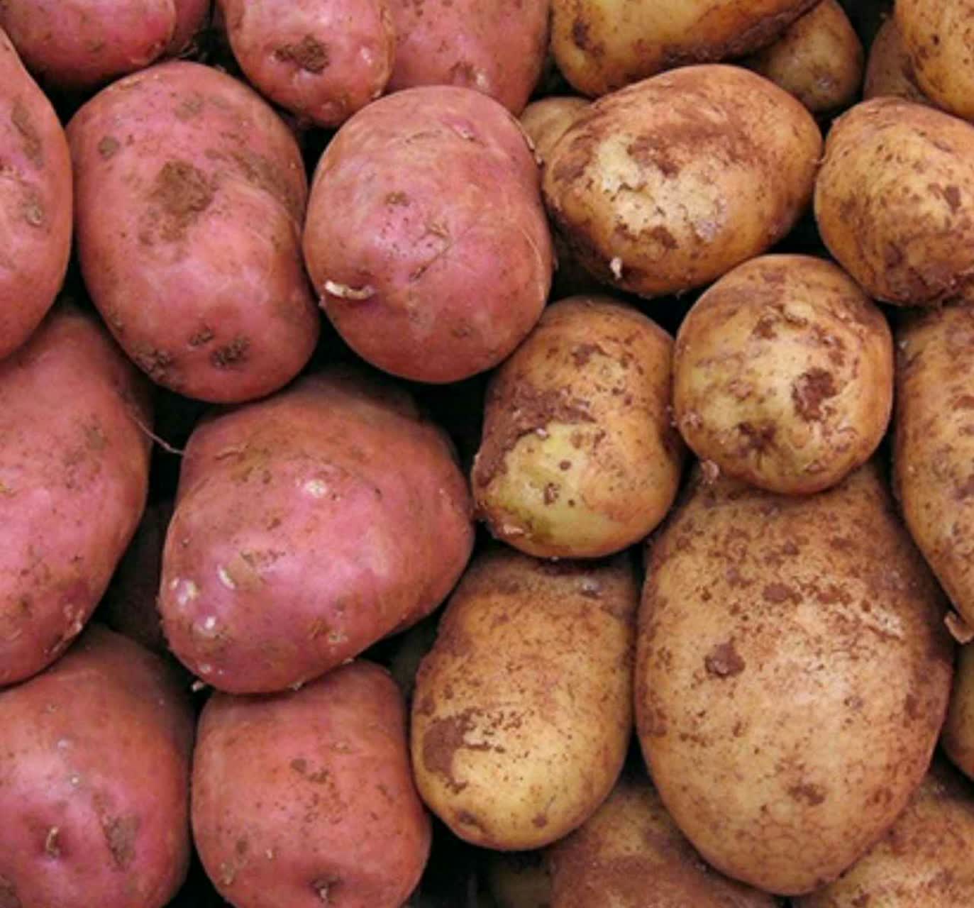سیب زمینی و  سیگنال‌های وای فای