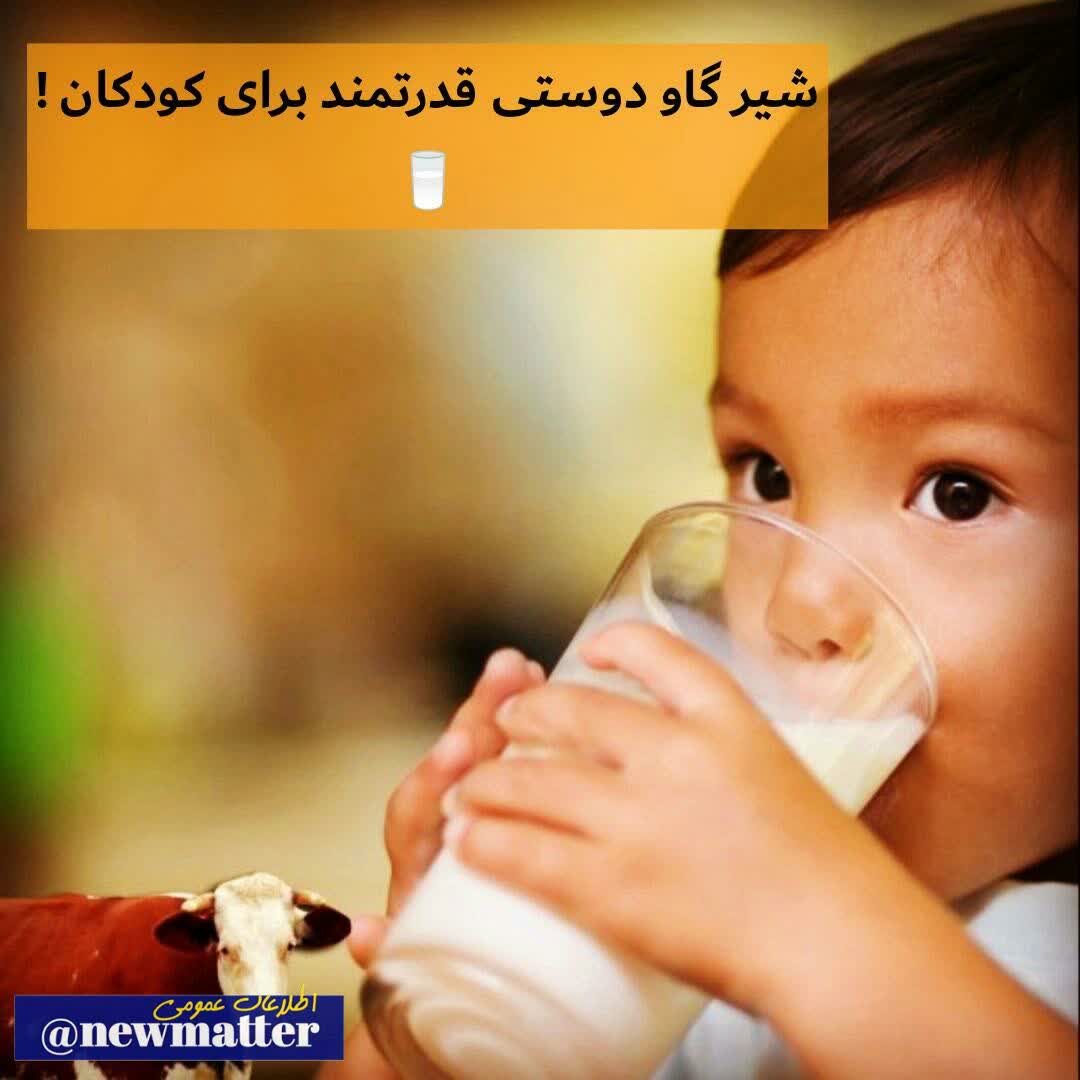 شیر گاو دوستی قدرتمند برای کودکان