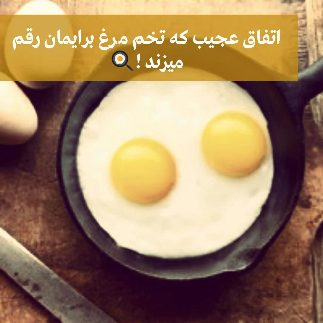 تخم مرغ