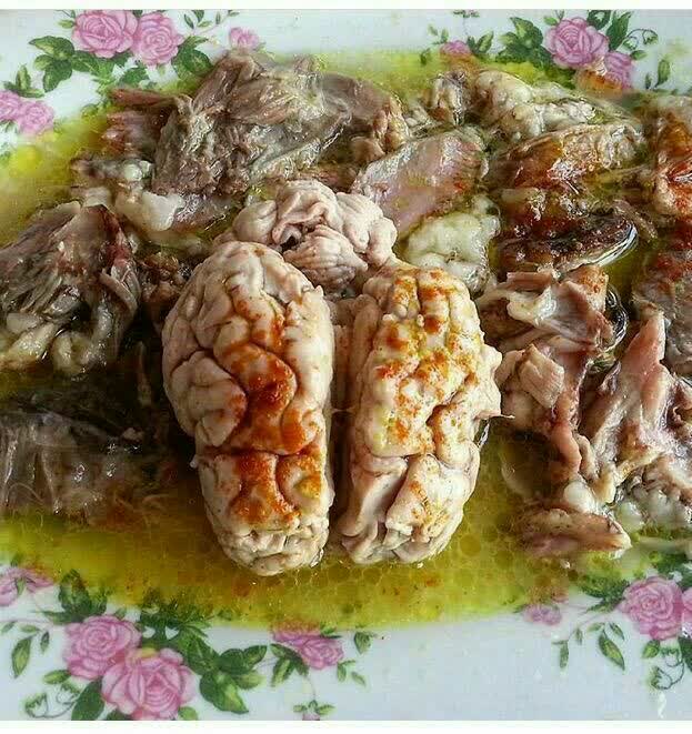 موقع خوردن کله پاچه مغز رو نخورید