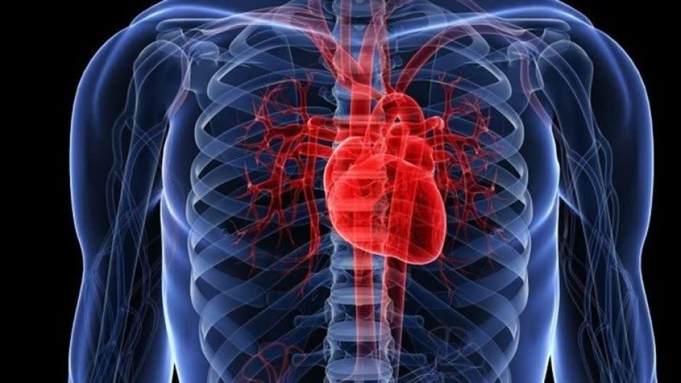 12 خوراکی که رگ های قلب را باز می‌کند