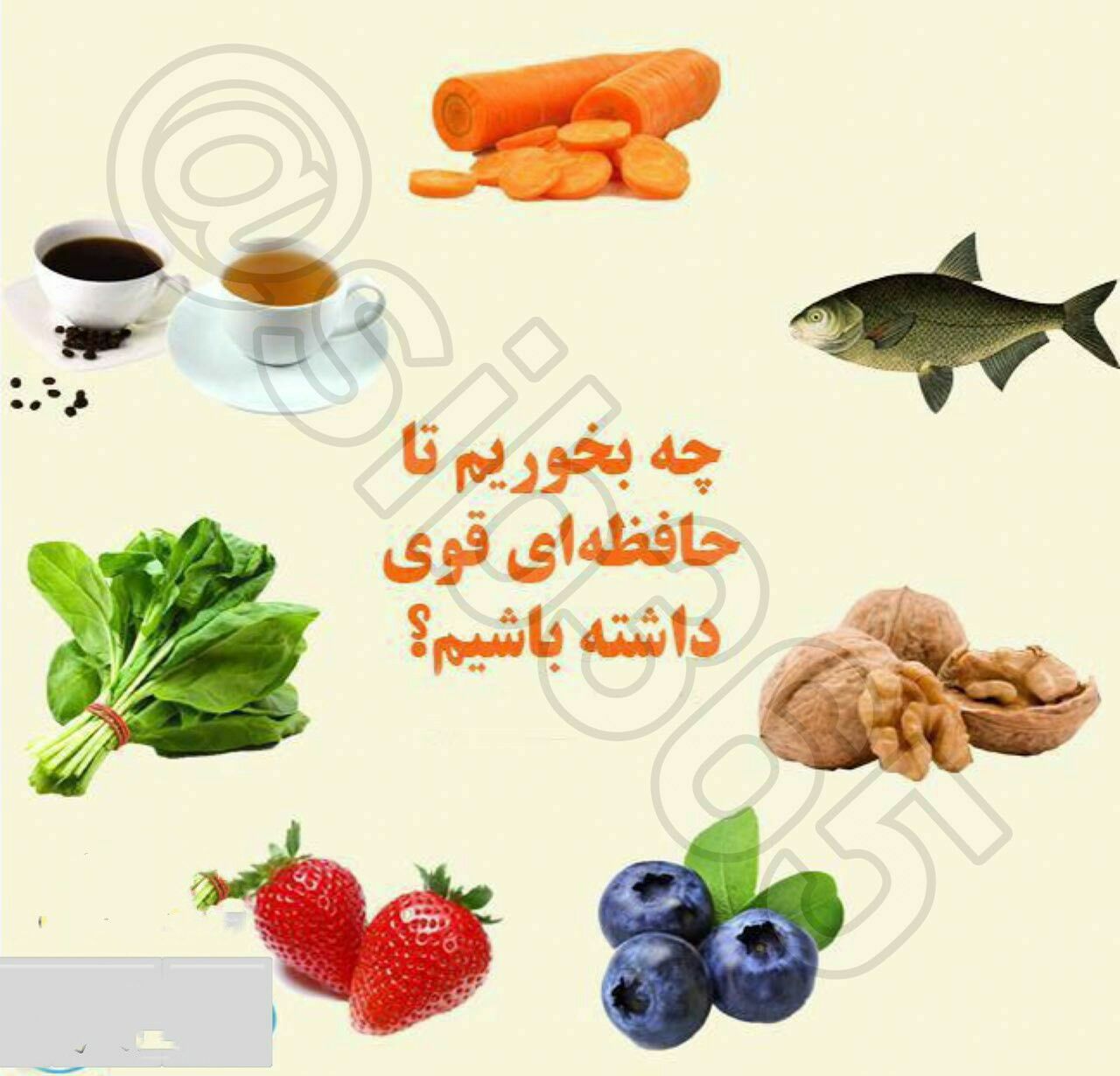 چی بخوریم تا حافظه قوی داشته باشیم