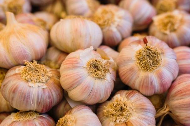 خوردن سیر با معده خالی