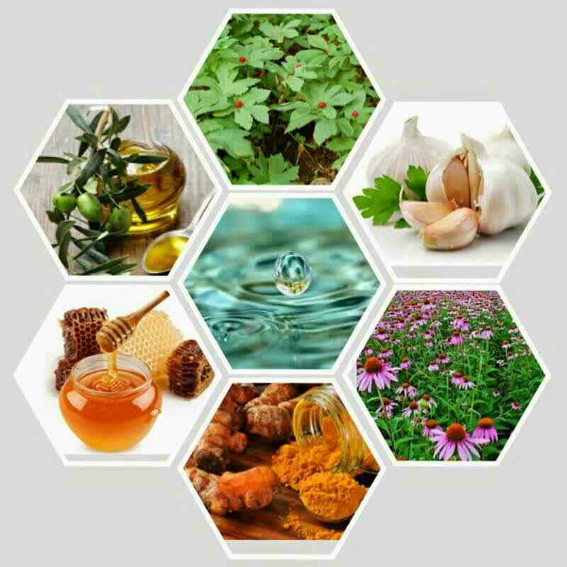 آنتی بیوتیکهای طبیعی
