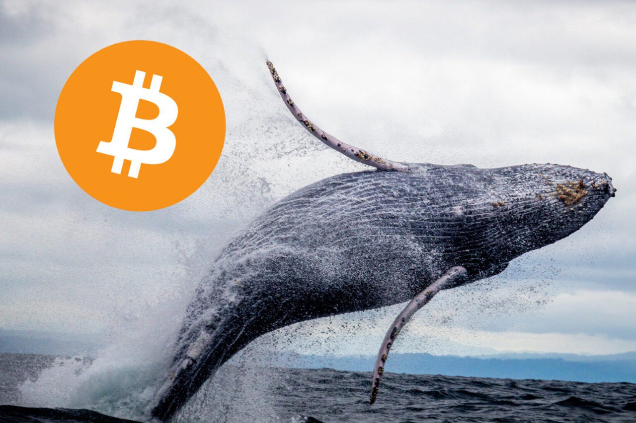 فروش عمده بیت‌کوین توسط نهنگ‌ها