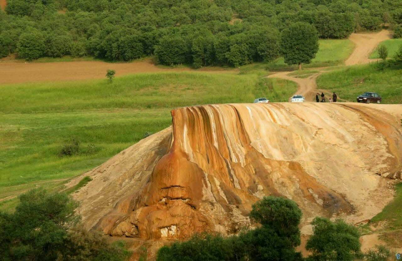 آن سوتر توده ای زیبا از جنگلهای بلوط