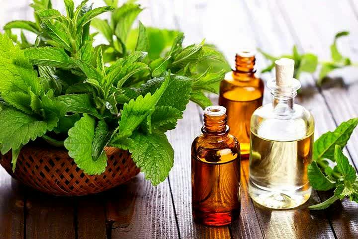 روغن درخت چای