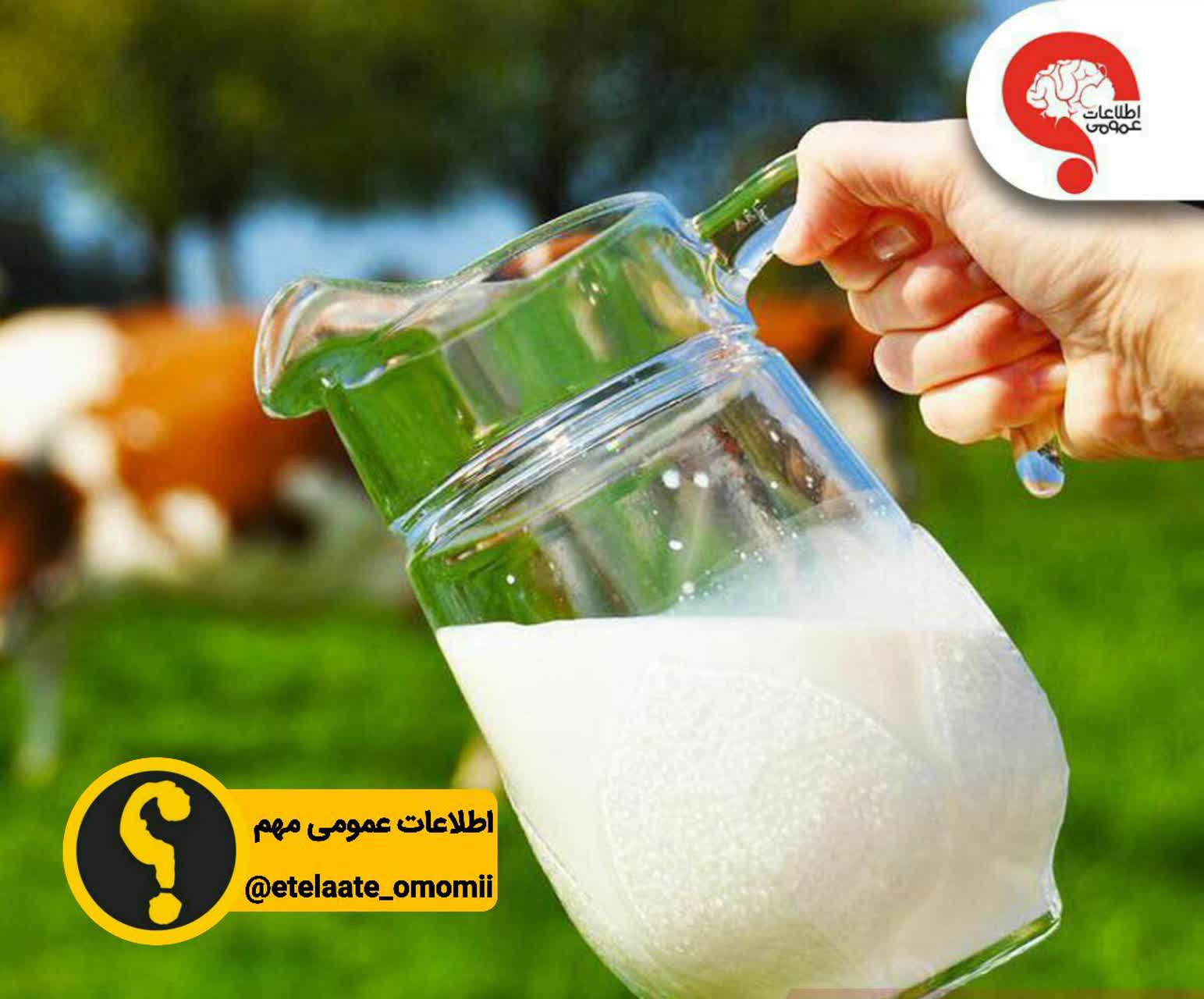 دوغ تازه بنوشید