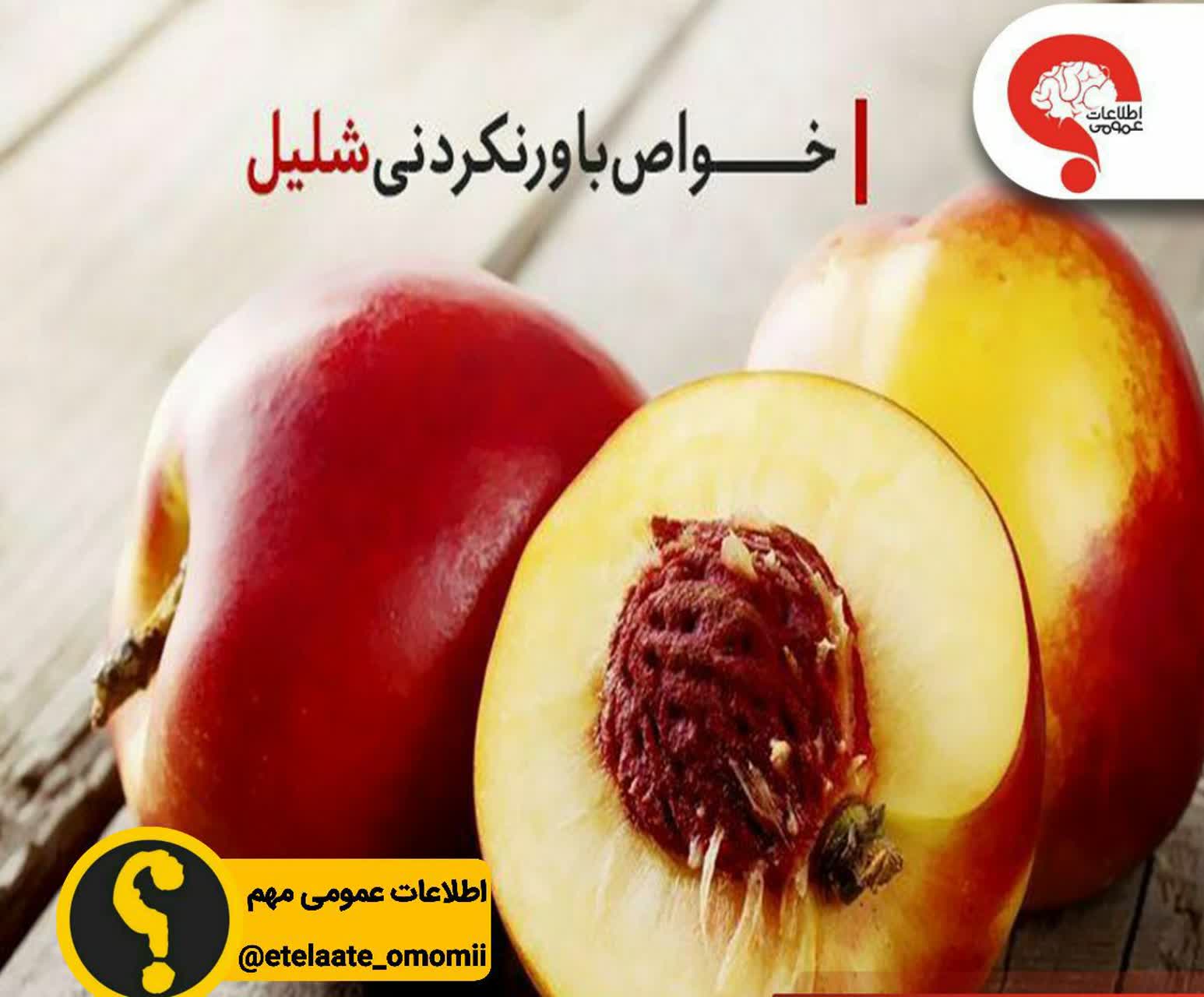 خواص باورنکردنی شلیل را میدانید
