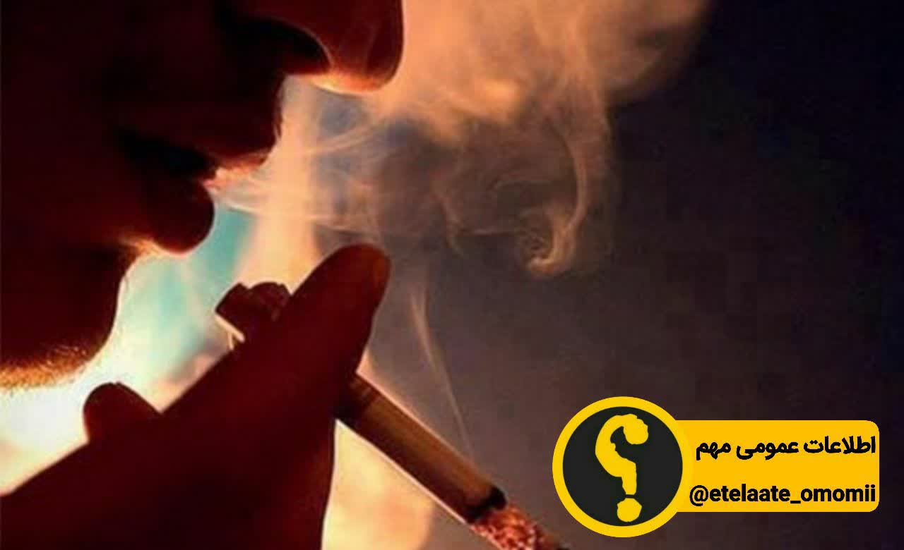 آدم های تنها ومجرد