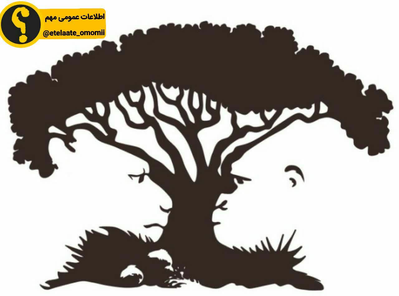 تصویر اولین چیزیکه میبینید چیه؟