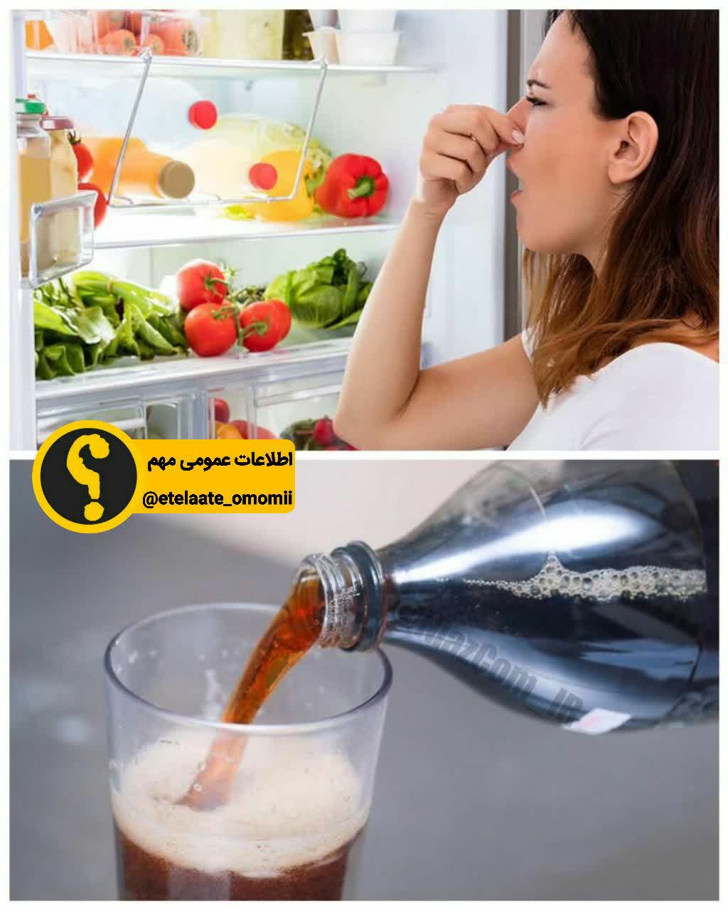 رفع بوی بد یخچال