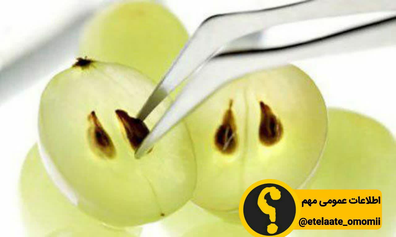 انگور را با هسته اش بخورید 