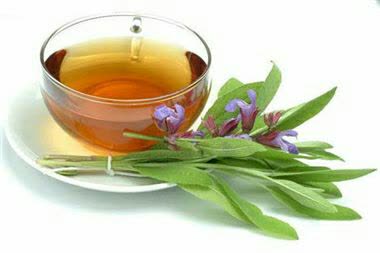 چای مریم گلی