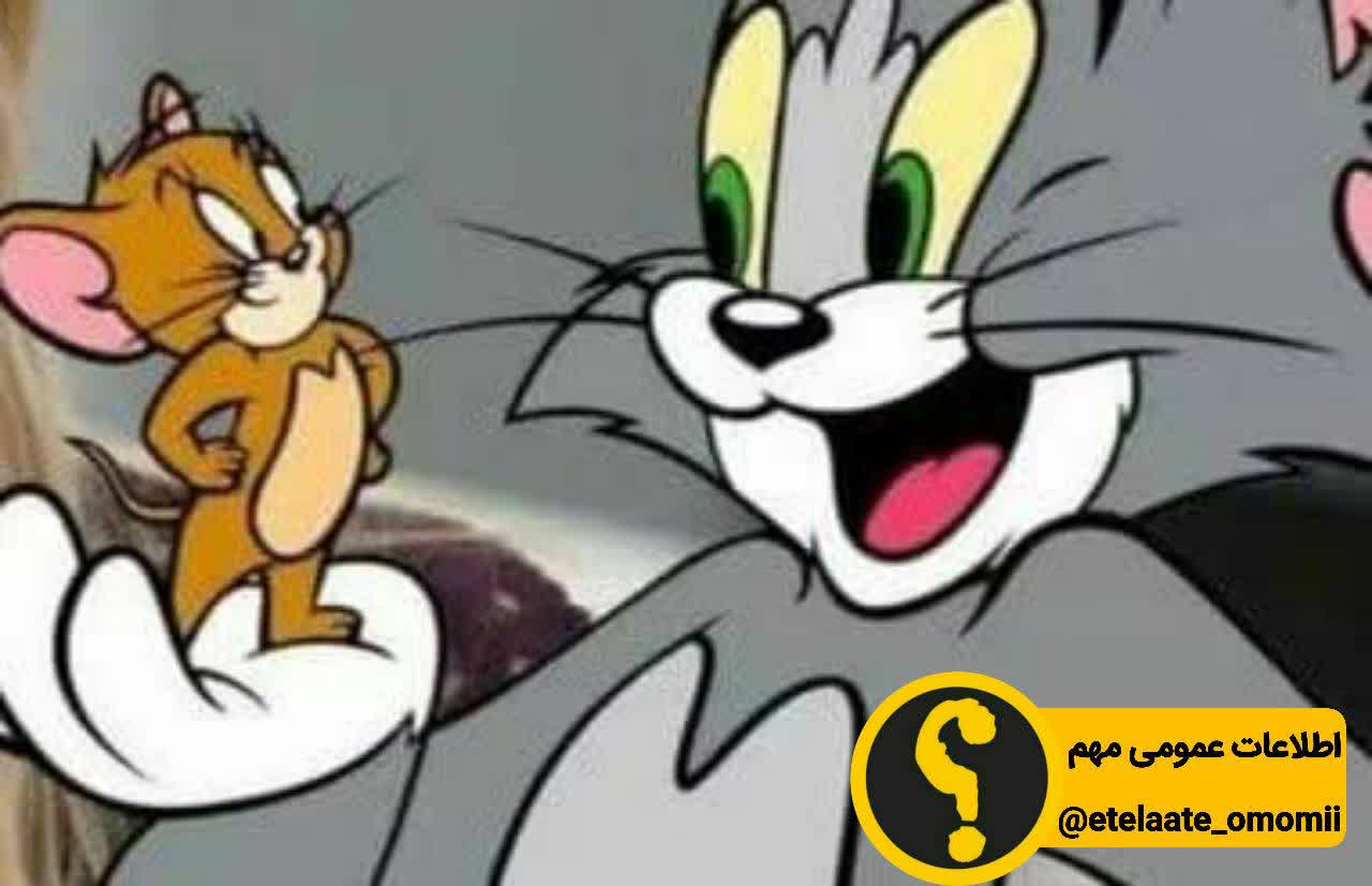 تام و جری به دنیای واقعی آمدند