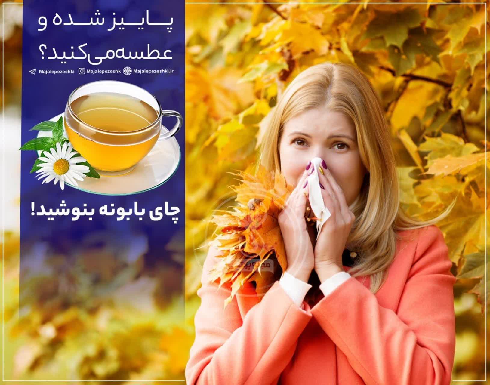 عطسه‌های حساسیت فصلی