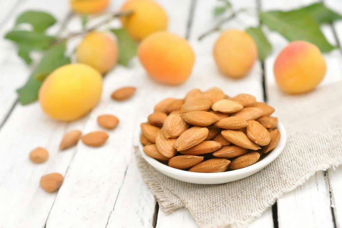 هسته زردآلو (شیرین) ضد سرطان است