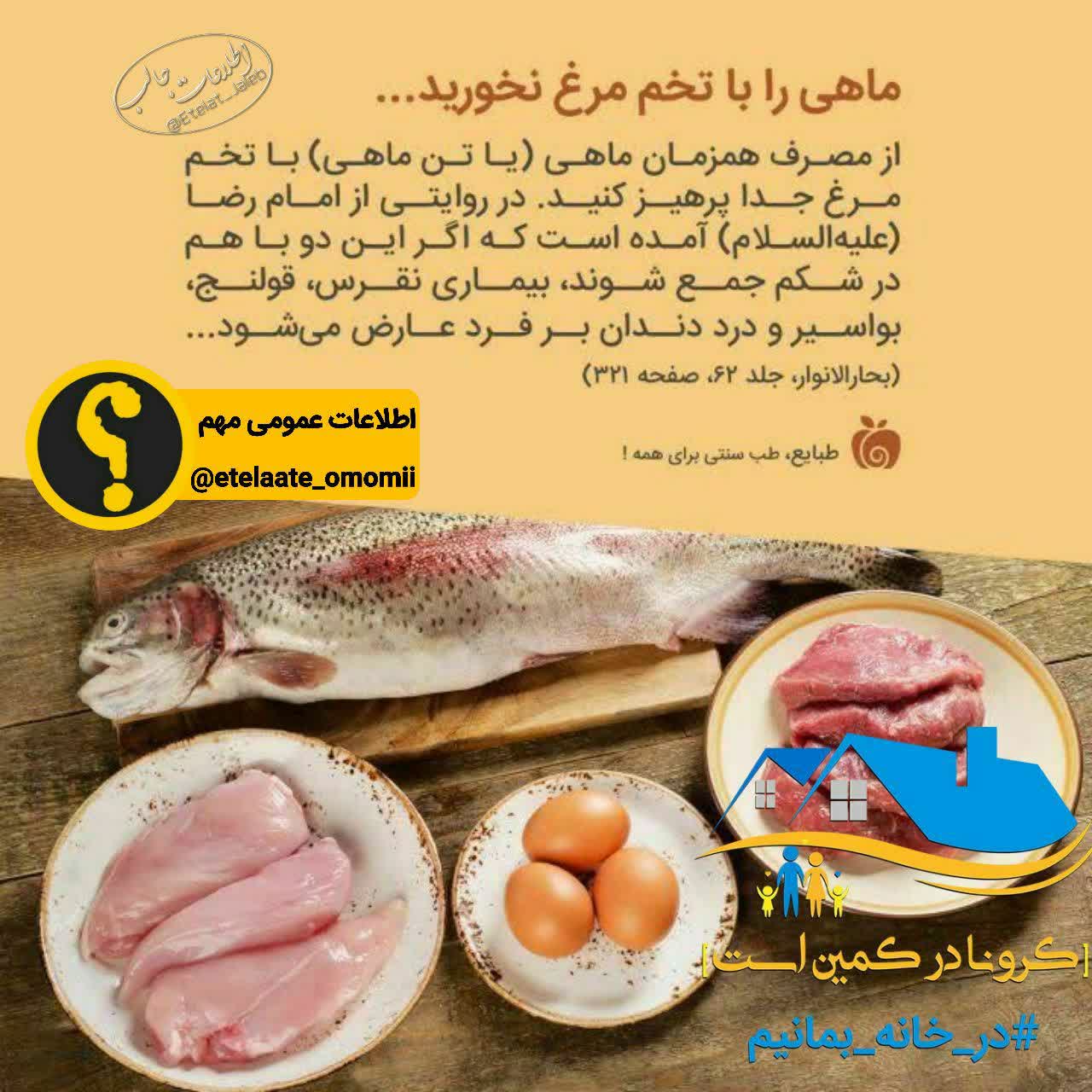 تن ماهی با تخم مرغ