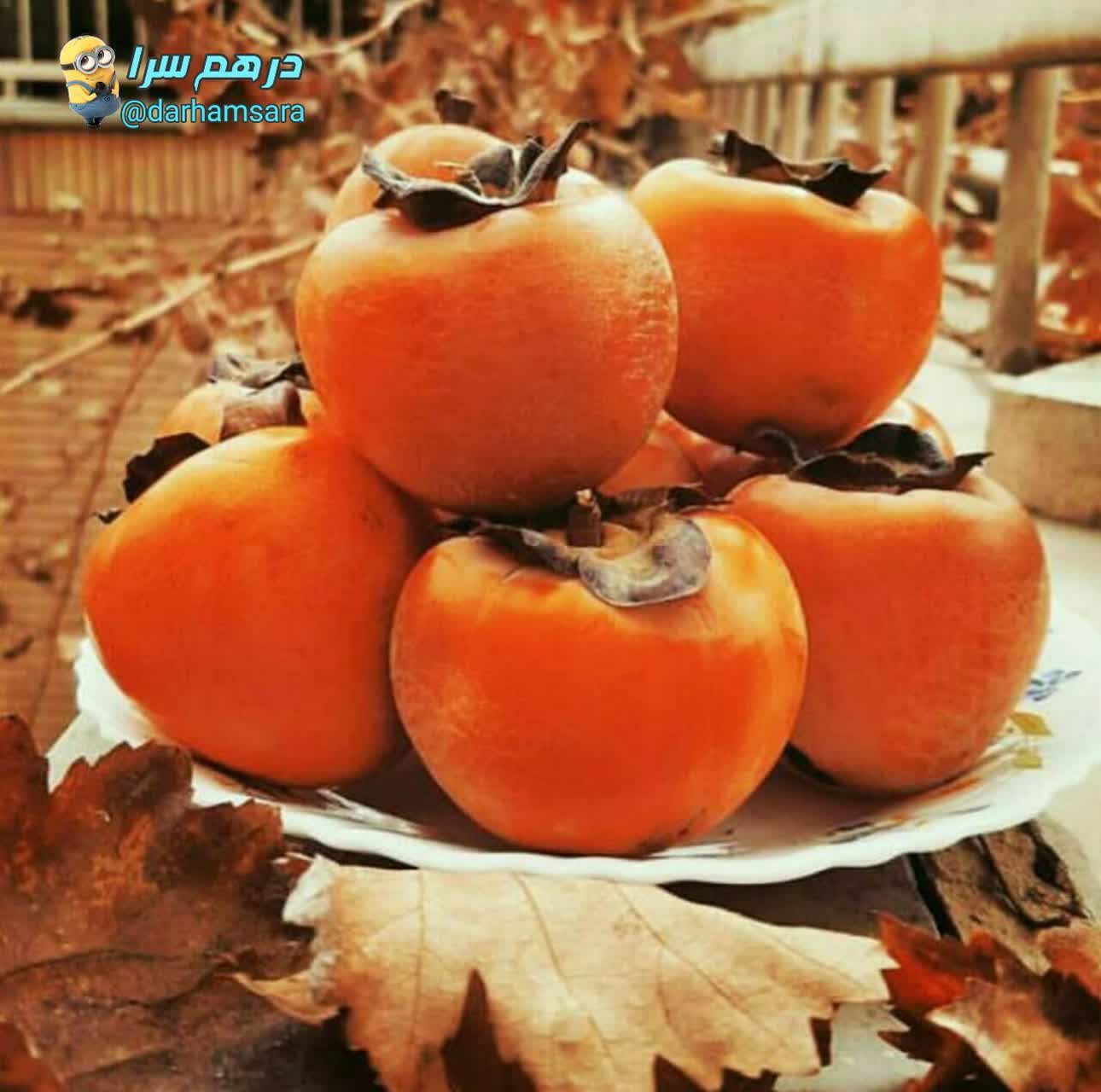 بهترین میوه‌ها در ماه‌های سرد