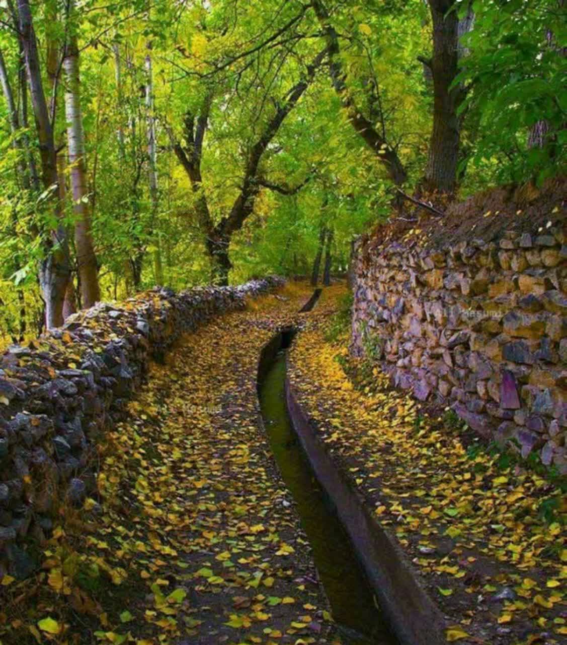 روش هایی برای موثر بودن قانون جذب
